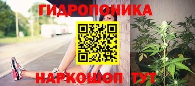 jwh Будённовск
